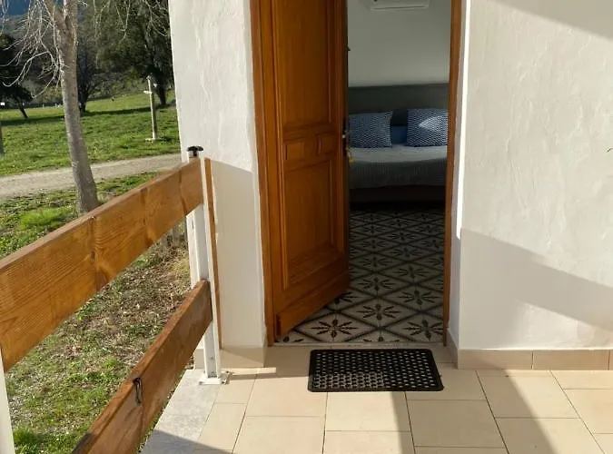 Ernella * 阿勒里亚