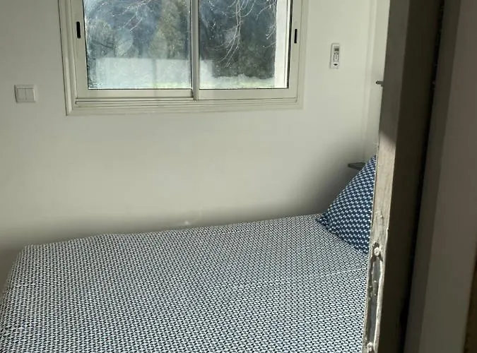 Ernella 营地 阿勒里亚