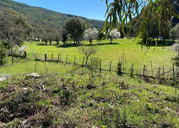 Ernella * 阿勒里亚